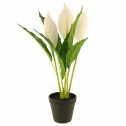 Dunelm Artificial Peace Lily In Black Pot 50cm -clocks Sales Store 30752426 alt03