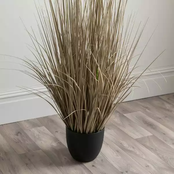 Dunelm Artificial Cream Pampas In Pot 120cm 3 Dunelm Artificial Cream Pampas In Pot 120cm - Image 3