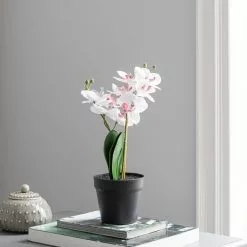 Dunelm Artificial Orchid In Black Pot 30cm -clocks Sales Store 30752432 alt02