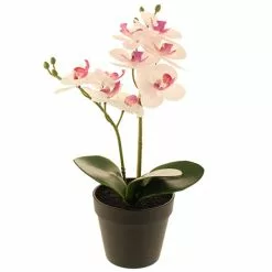 Dunelm Artificial Orchid In Black Pot 30cm -clocks Sales Store 30752432 alt03