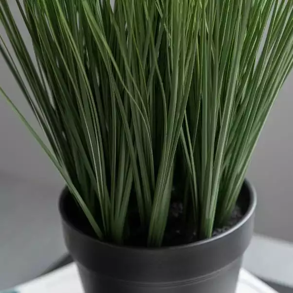 Dunelm Artificial Grass In Black Pot 30cm 2 Dunelm Artificial Grass In Black Pot 30cm - Image 2