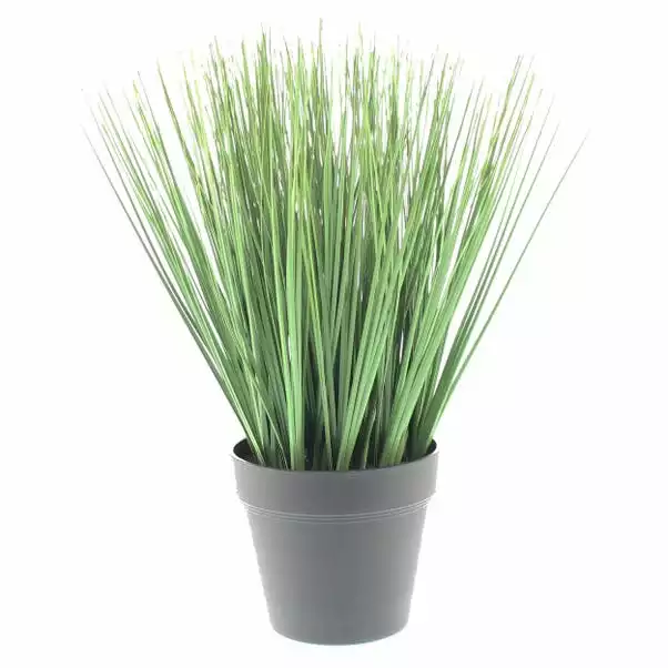 Dunelm Artificial Grass In Black Pot 30cm 4 Dunelm Artificial Grass In Black Pot 30cm - Image 4