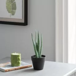 Dunelm Artificial Aloe Vera In Black Pot 24cm