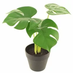 Dunelm Artificial Cheese Plant In Black Pot 24cm -clocks Sales Store 30752438 alt03