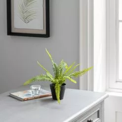 Dunelm Artificial Fern In Black Pot 24cm