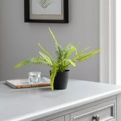 Dunelm Artificial Fern In Black Pot 24cm -clocks Sales Store 30752439 alt02