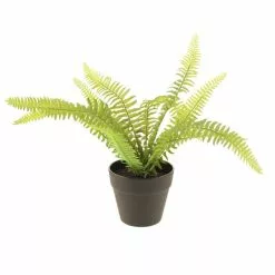 Dunelm Artificial Fern In Black Pot 24cm -clocks Sales Store 30752439 alt03