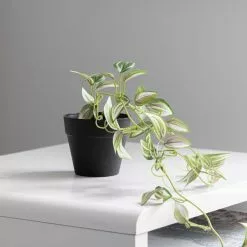 Dunelm Artificial Trailing Tradescantia In Black Pot 45cm -clocks Sales Store 30752440 alt02