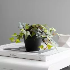 Dunelm Artificial Trailing Ivy In Black Pot 45cm -clocks Sales Store 30752441 alt02