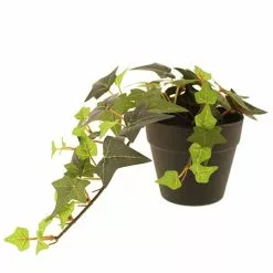 Dunelm Artificial Trailing Ivy In Black Pot 45cm -clocks Sales Store 30752441 alt03