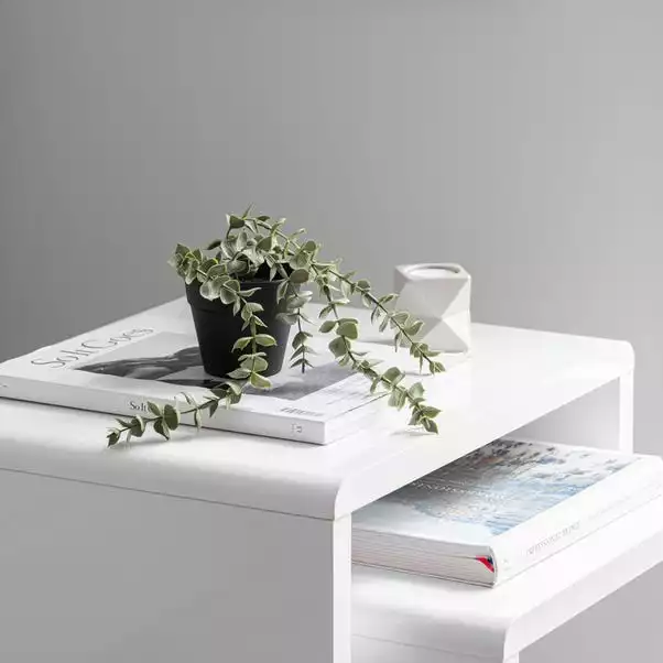 Dunelm Artificial Trailing Eucalyptus In Black Pot 45cm 1 Dunelm Artificial Trailing Eucalyptus In Black Pot 45cm