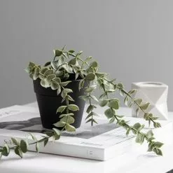 Dunelm Artificial Trailing Eucalyptus In Black Pot 45cm 6 Dunelm Artificial Trailing Eucalyptus In Black Pot 45cm -clocks Sales Store 30752442 alt02