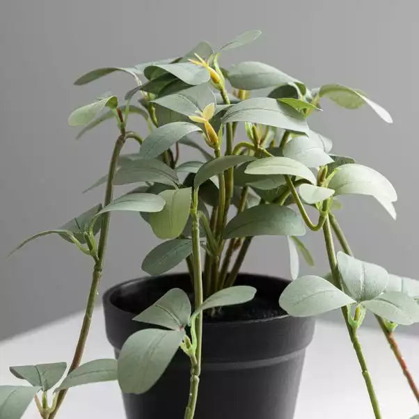Dunelm Artificial Trailing Leaves In Pot 2 Dunelm Artificial Trailing Leaves In Pot - Image 2