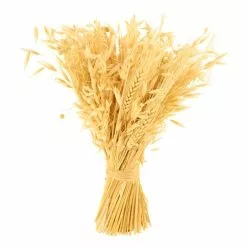 Dunelm Pretty Boho Bleached Standing Dried Bundle -clocks Sales Store 30752447 alt03