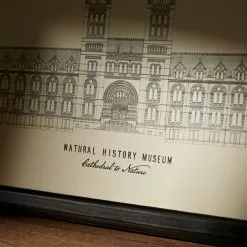 Natural History Museum Cathedral To Nature Framed Canvas 8 Natural History Museum Cathedral To Nature Framed Canvas -clocks Sales Store 30753729 alt03