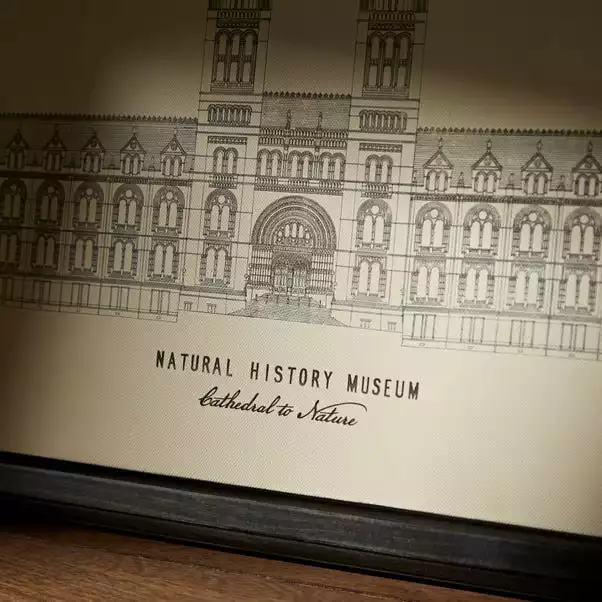 Natural History Museum Cathedral To Nature Framed Canvas 4 Natural History Museum Cathedral To Nature Framed Canvas - Image 4