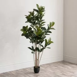 Dunelm Artificial Rubber Tree 180cm -clocks Sales Store 30754631 alt03