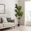 Dunelm Artificial Fig Tree 180cm