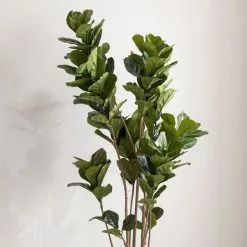 Dunelm Artificial Fig Tree 180cm -clocks Sales Store 30754632 alt02