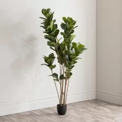 Dunelm Artificial Fig Tree 180cm -clocks Sales Store 30754632 alt03