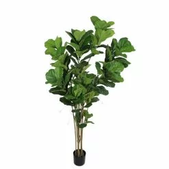 Dunelm Artificial Fig Tree 180cm -clocks Sales Store 30754632 alt04