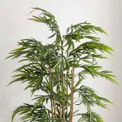 Dunelm Artificial Natural Bamboo Tree 180cm -clocks Sales Store 30754634 alt02