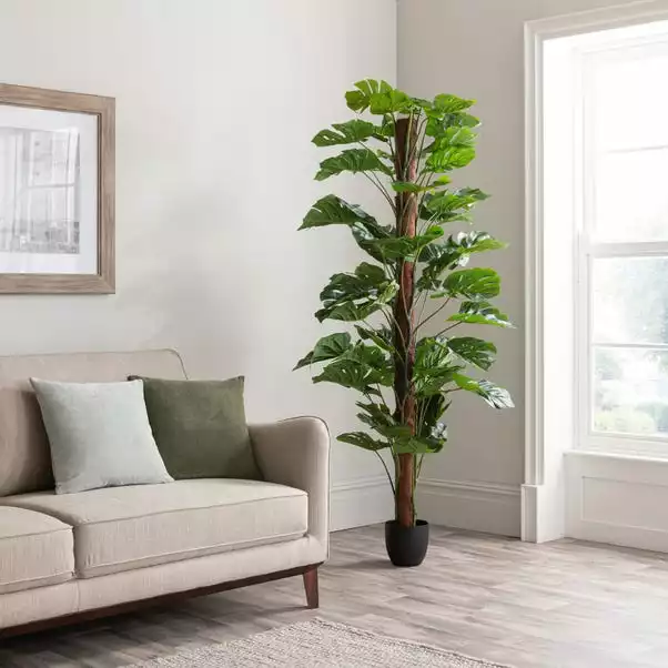 Dunelm Artificial Monstera Tree 180cm 1 Dunelm Artificial Monstera Tree 180cm