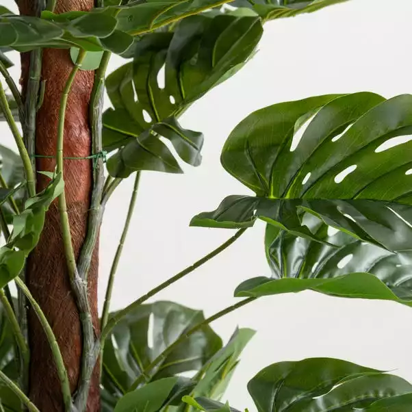 Dunelm Artificial Monstera Tree 180cm 2 Dunelm Artificial Monstera Tree 180cm - Image 2