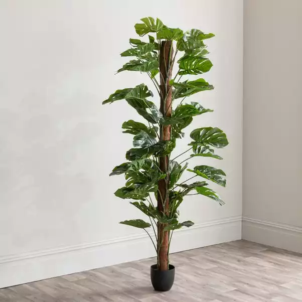 Dunelm Artificial Monstera Tree 180cm 4 Dunelm Artificial Monstera Tree 180cm - Image 4