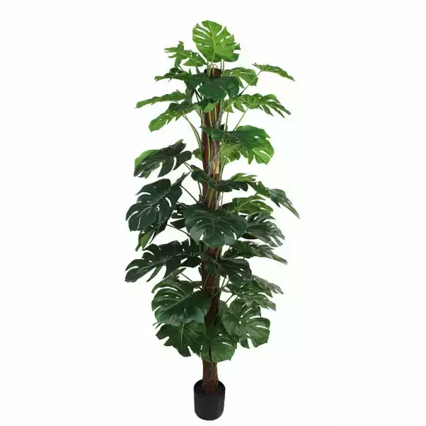 Dunelm Artificial Monstera Tree 180cm 5 Dunelm Artificial Monstera Tree 180cm - Image 5
