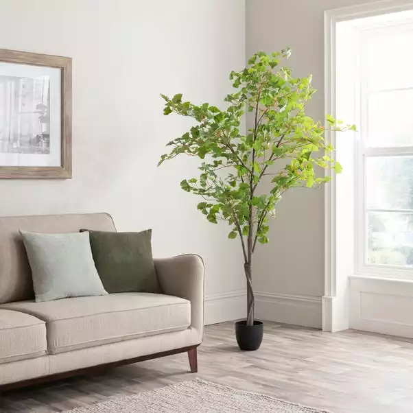 Dunelm Artificial Ginkgo Tree 180cm 1 Dunelm Artificial Ginkgo Tree 180cm