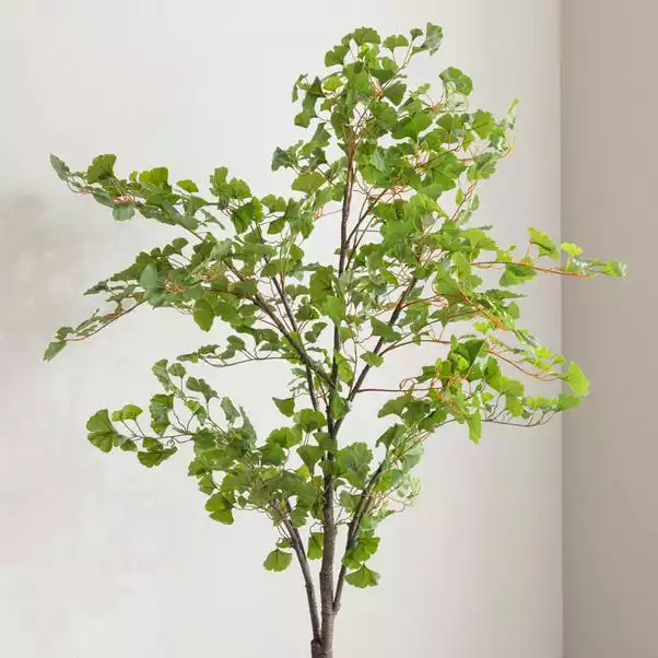 Dunelm Artificial Ginkgo Tree 180cm 3 Dunelm Artificial Ginkgo Tree 180cm - Image 3