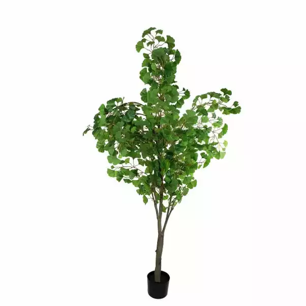 Dunelm Artificial Ginkgo Tree 180cm 5 Dunelm Artificial Ginkgo Tree 180cm - Image 5