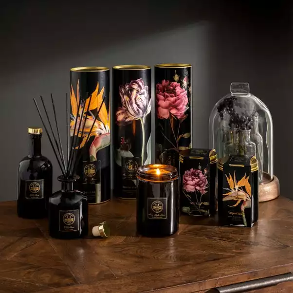 Natural History Museum Wild Rose Diffuser 200ml 6 Natural History Museum Wild Rose Diffuser 200ml - Image 6