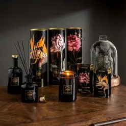 Natural History Museum Wild Rose Diffuser Refill 360ml -clocks Sales Store 30757061 alt03