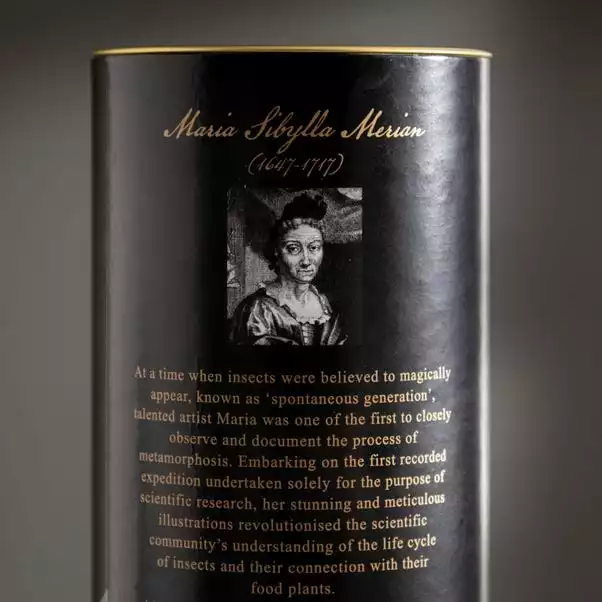 Natural History Museum Botanical Paradise Diffuser 200ml 5 Natural History Museum Botanical Paradise Diffuser 200ml - Image 5