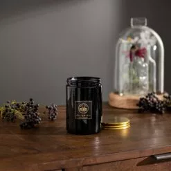 Natural History Museum Botanical Paradise Candle -clocks Sales Store 30757819 alt02