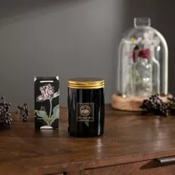 Natural History Museum Botanical Paradise Candle -clocks Sales Store 30757819 alt03