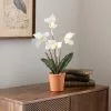 Dunelm Real Touch Cream Slipper Orchid 50cm