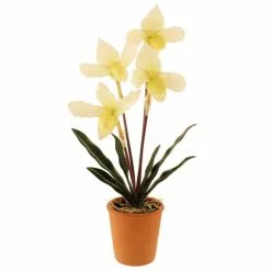 Dunelm Real Touch Cream Slipper Orchid 50cm -clocks Sales Store 30757832 alt05