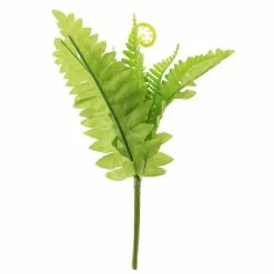 Dunelm Fern Pick