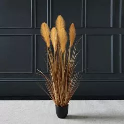 Scottish Everlastings Brown Potted Pampas 120cm