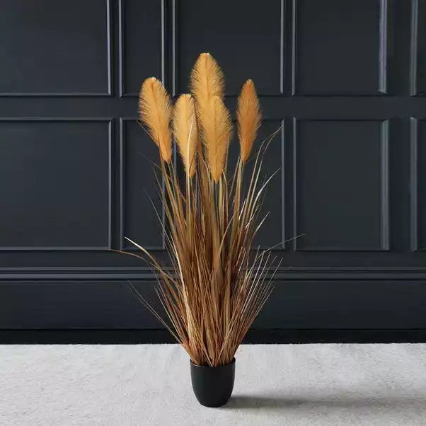 Scottish Everlastings Brown Potted Pampas 120cm 1 Scottish Everlastings Brown Potted Pampas 120cm