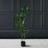 Scottish Everlastings Real Touch Green Dracaena 120cm