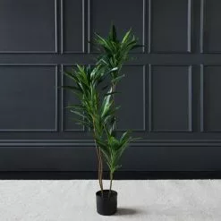 Scottish Everlastings Real Touch Green Dracaena 120cm