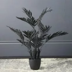 Scottish Everlastings Real Touch Areca Palm Black 70cm