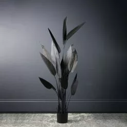 Scottish Everlastings Bird Of Paradise Tree Black 160cm