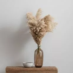 Dunelm Dried Pampas Natural Grass Bundle 75cm