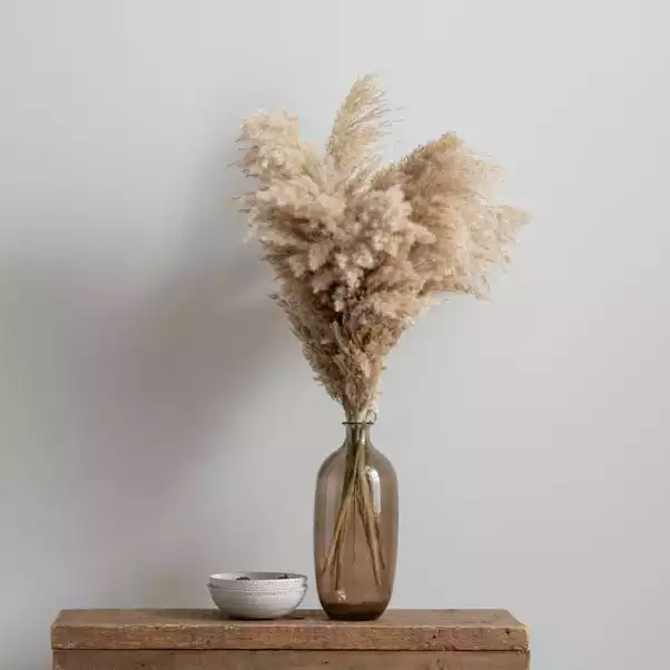 Dunelm Dried Pampas Natural Grass Bundle 75cm 1 Dunelm Dried Pampas Natural Grass Bundle 75cm