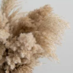 Dunelm Dried Pampas Natural Grass Bundle 75cm 9 Dunelm Dried Pampas Natural Grass Bundle 75cm -clocks Sales Store 30763276 alt03